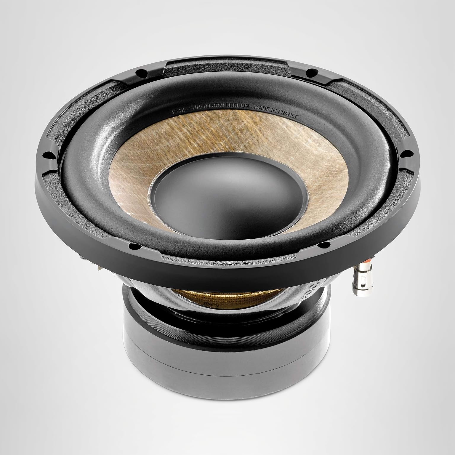 Amazon.co.jp: FOCAL フォーカル P 20 FE 20cmサブウーファー FLAX EVO